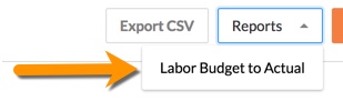 labor budget to actual report button.jpg